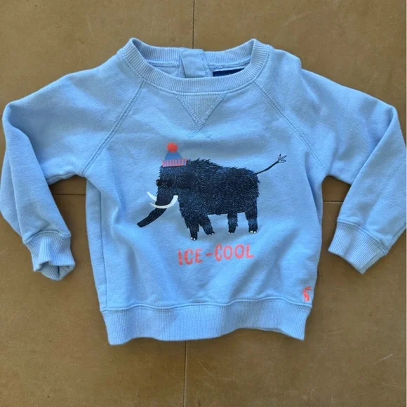 Joules Sweatshirt 12-18M - Picture 1 of 3